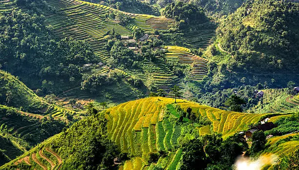 The Rice terraces in Hagiang of Vietnam