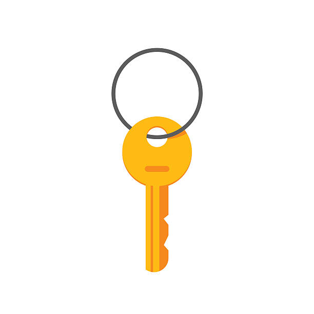 Key Hanging On Ring Vector Illustration Isolated Stock Illustration -  Download Image Now - Key, Key Ring, Flat Design - iStock