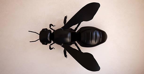 Black bee on a beige wall. 3d illustration.