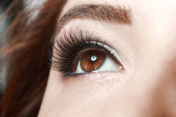 woman's brown eye stock photo