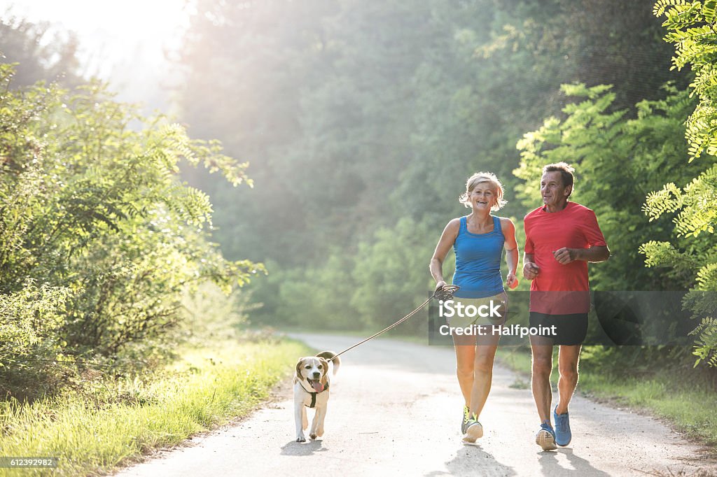 Senior couple with dog running in green sunny nature Active senior couple with dog running outside in green sunny nature Running Stock Photo