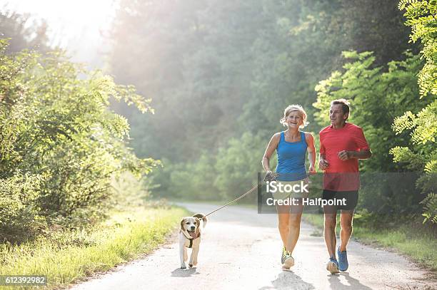 Senior Couple With Dog Running In Green Sunny Nature Stock Photo - Download Image Now