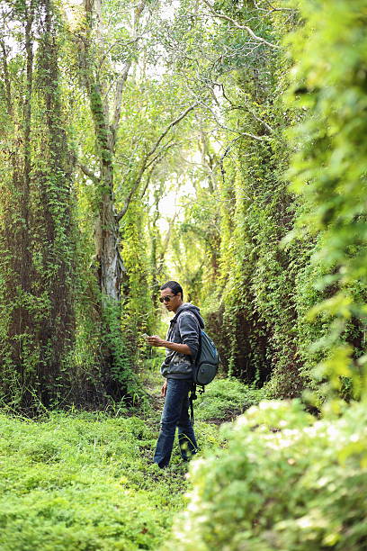 istock Man and Green Wetland Forest 612393936