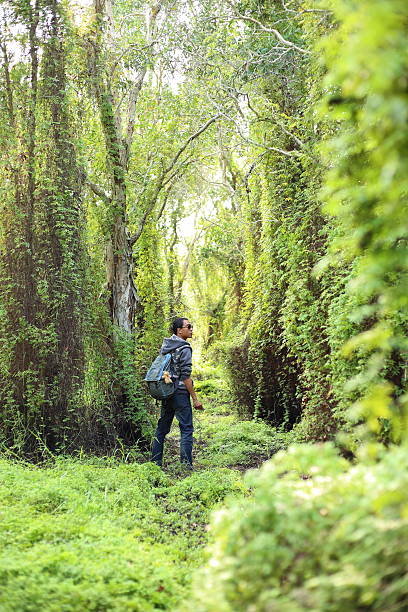 istock Man and Green Wetland Forest 612394056