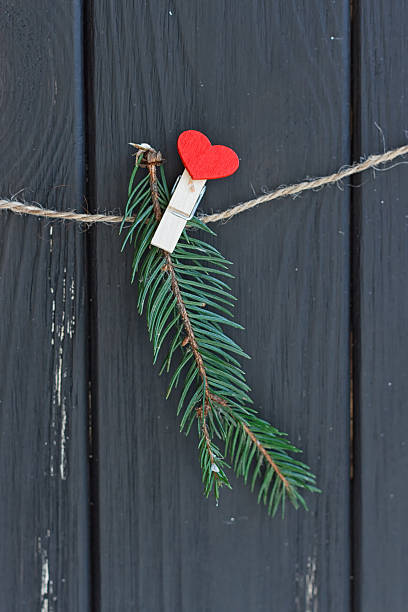 istock Fir tree branch black fence hanging on clothespin 612395860
