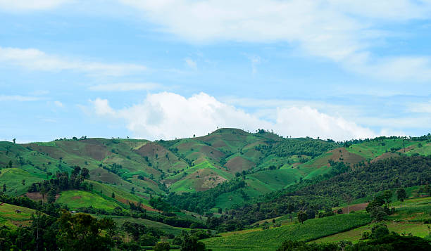 istock View of tropical forest mountains 612401466