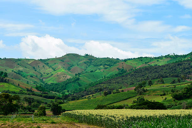 istock View of tropical forest mountains 612401884