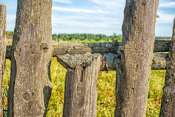 istock old wooden fence closeup 612403762