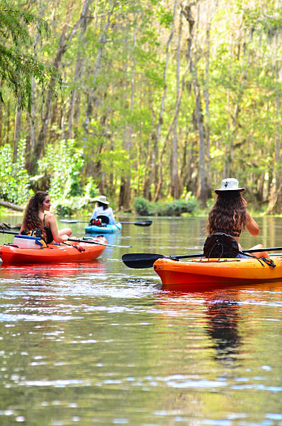 istock Three ladies kayaking down clear, calm  river in forest 612404230