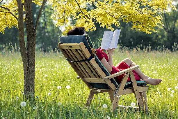 Rear view at woman lying on wooden deck chair on meadow under small golden acacia tree reading book.