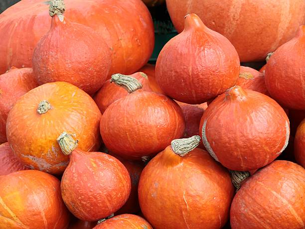istock orange,tasty pumpkins 612409038