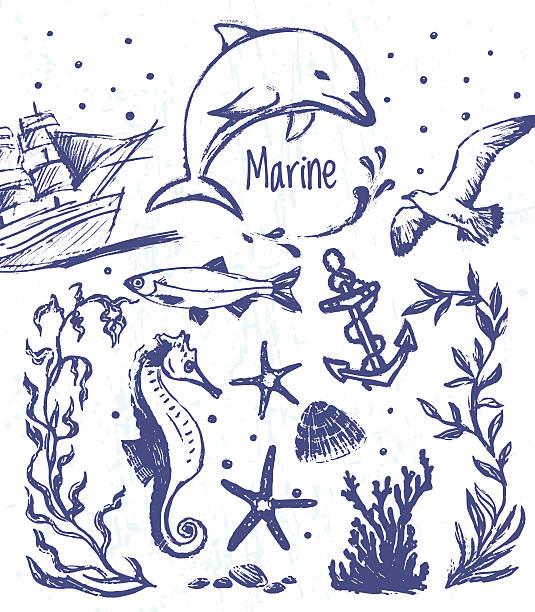 Marine hand drawn elements for creative use