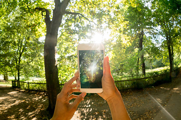 Unrecognizable person taking a picture at the park with a cell phone - phtography concepts