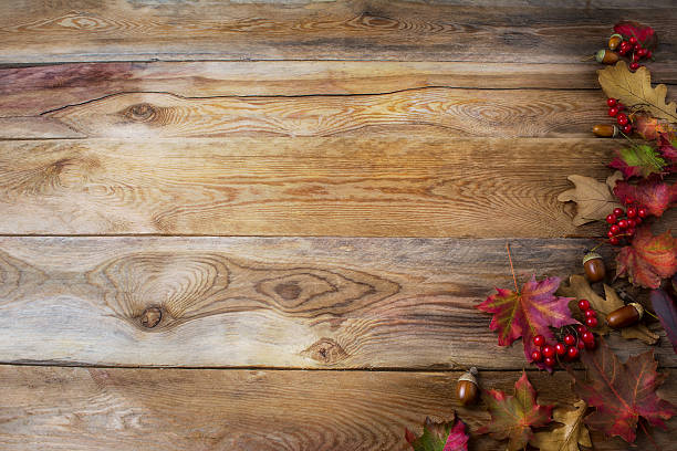 istock Thanksgiving  greeting background with berries, acorn and fall m 612419060