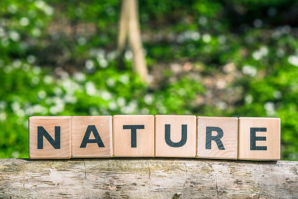 istock Nature sign on a wooden branch 612419690