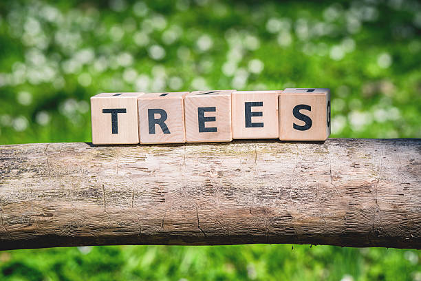istock Wooden log with a tree sign 612420068