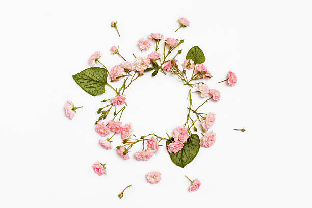 istock Floral round frame on white background. Flat lay, top view. 612420988