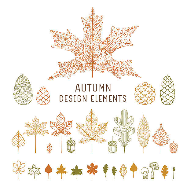 ilustrações de stock, clip art, desenhos animados e ícones de autumn leaves and cones - bolota ilustrações