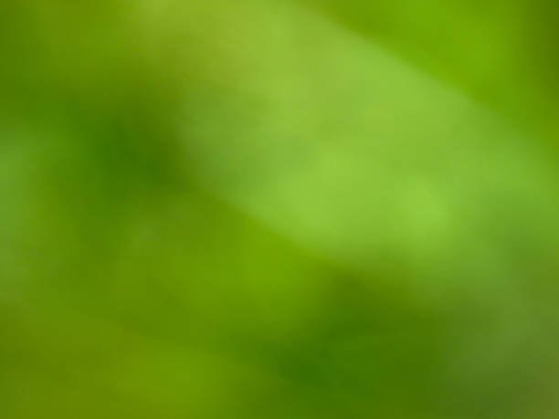 istock Abstract blured green background. Natural texture 612478376