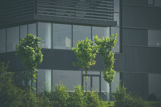 istock Green trees in front of an office 612478742