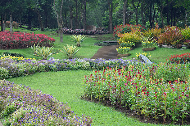 istock Colorful Flower Garden Outdoor 612479224