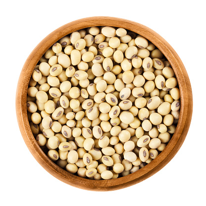 Soybeans in wooden bowl on white background. Glycine max, also known as soya bean is a legume and oilseed, valued for its high protein and oil content. Isolated macro photo close up from above.