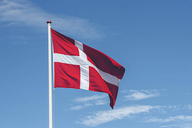 istock Denmark flag in red and white colors 612482120