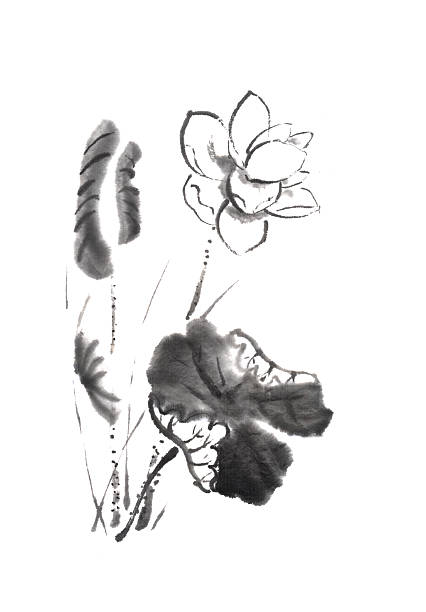 istock Lotus flower Japanese style original sumi-e ink painting. 612482952