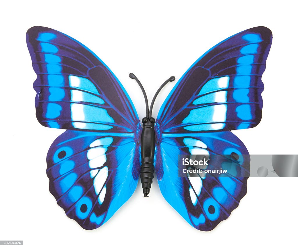Blue Fake Butterfly Isolated Stock Photo - Download Image Now - Art And  Craft, Artificial, Blue - iStock
