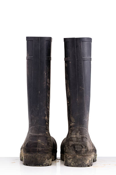 istock Dry dirty Mud boots isolated on white background back view 612484416