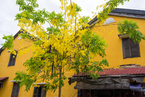 Hoi An, Vietnam - May 28, 2016: Old houses in Hoi An ancient town, UNESCO world heritage. Hoi An is one of the most popular destinations in Vietnam.