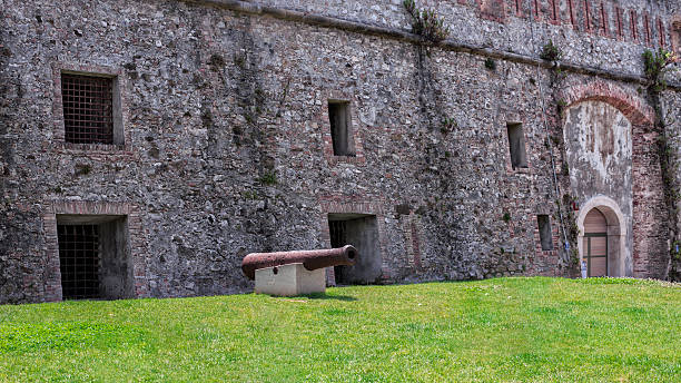 Medieval cannon on a remains of the ancient fortress on a background of the stone pine and other Mediterranean vegetation, sea and cloudy sky in overcast morning, Bordighera, Italy,