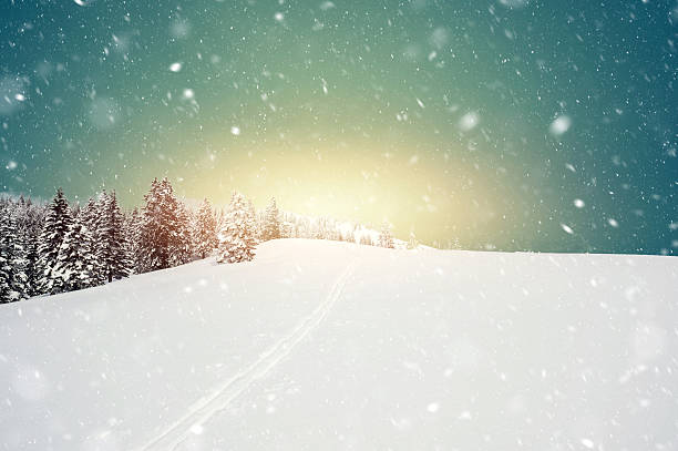 istock Snow blizzard in the morning 612486702