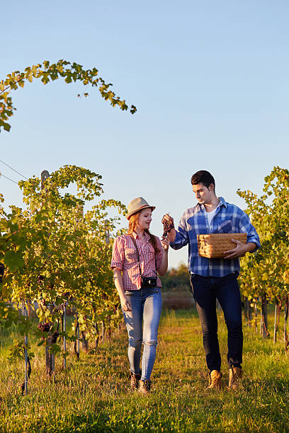 istock Woman and man in vineyard 612486768