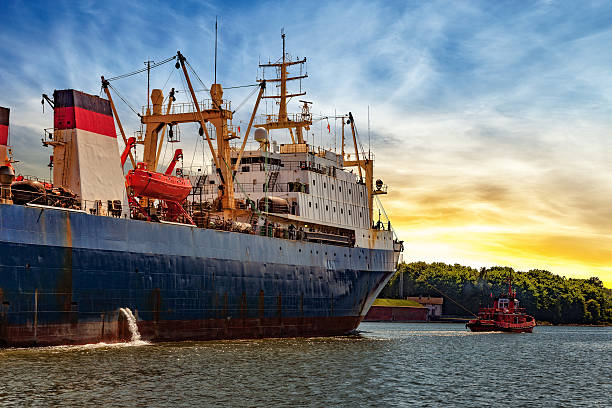 섬세하게 포트 - tugboat nautical vessel sea gdansk 뉴스 사��진 이미지