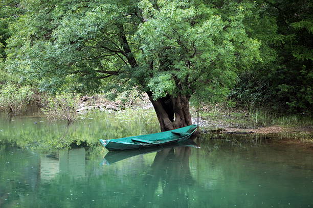 istock EUROPE BALKAN MONTENEGRO SKADAR LAKE 612491530