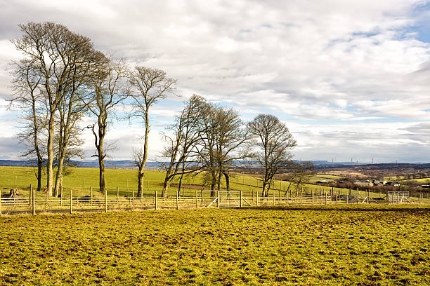 Farmland in West Lothian, Scotland