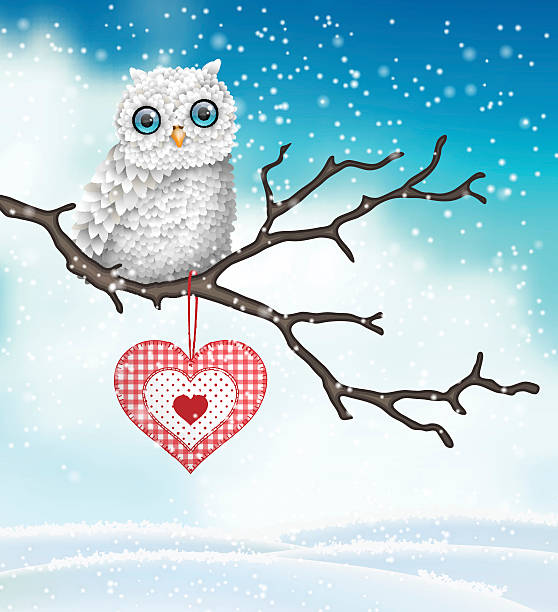 stockillustraties, clipart, cartoons en iconen met christmas motive, cute white owl sitting on dry branch in - dry january