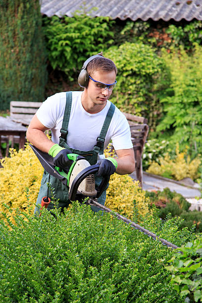 Gardener at gardening stock photo