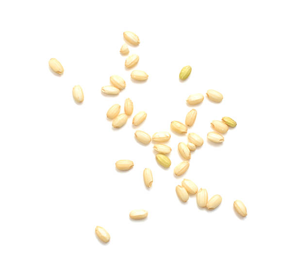 istock brown rice on the white background, top view 612496772