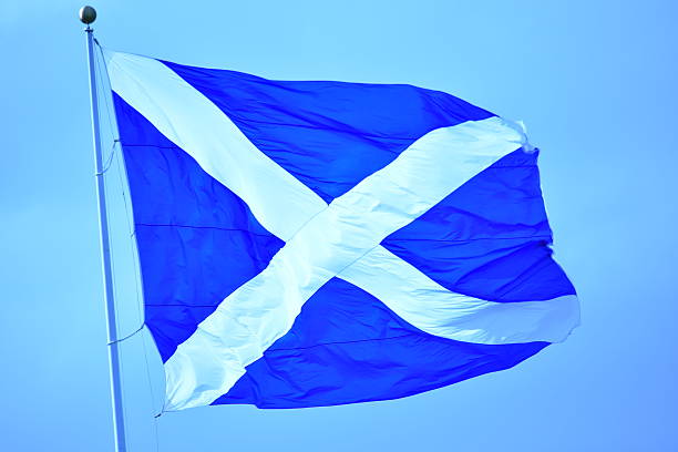 istock Saint Andrew's Cross flag on a pole 612499202