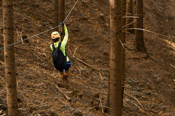 istock forest adventure on the zip line 612500928