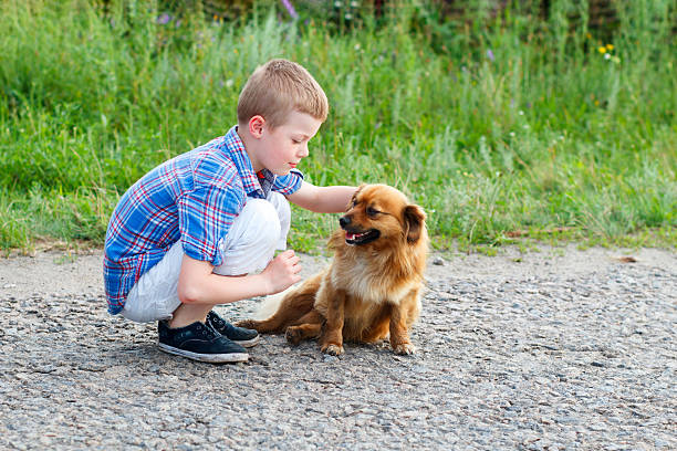 little boy stroking a red dog. Best friends. Outdoor little boy in a plaid shirt stroking a red dog. Best friends. Outdoor boy in a plaid shirt hugging a red fluffy dog stock pictures, royalty-free photos & images