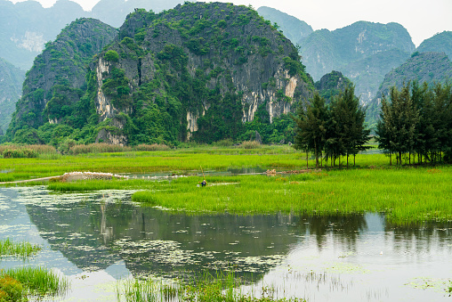 Van Long Natural reserve in Ninh Binh, Vietnam
