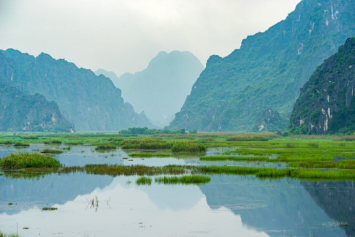 Van Long Natural reserve in Ninh Binh, Vietnam