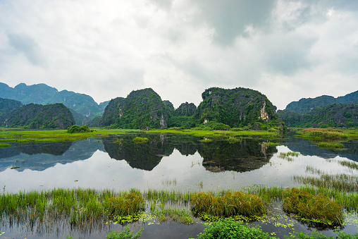 Van Long Natural reserve in Ninh Binh, Vietnam