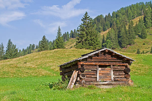 istock hay hut in Lesach Valley 612506928