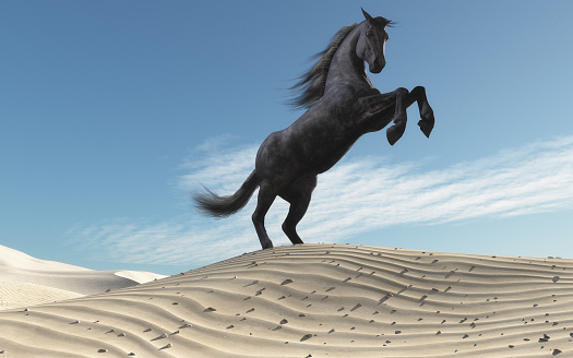 Wild horse in dune landscape. This is a 3d render illustration