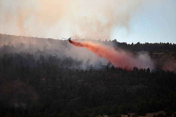 istock Pueblo Colorado Beulah Hill Fire wildfire smoke slurry bomber plane 612508676