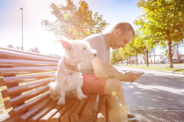 istock Man with the dog on the bench 612508982